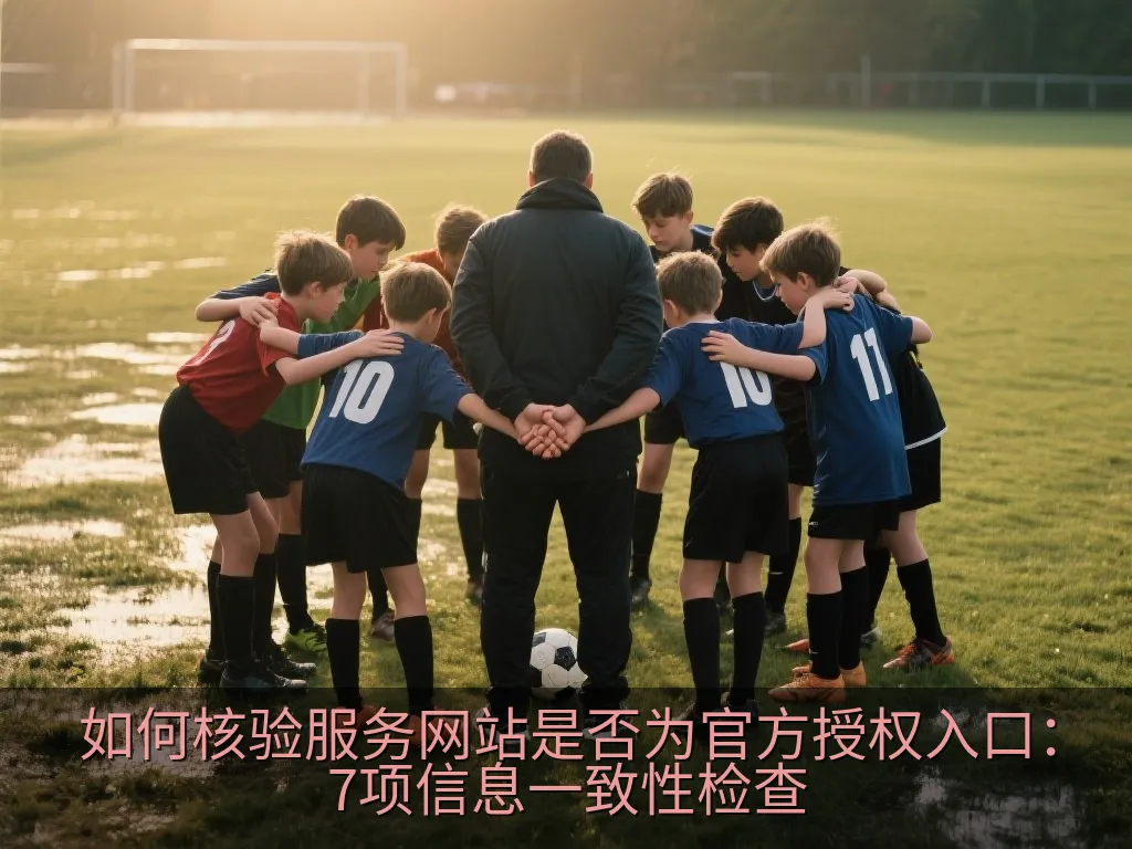 如何核验服务网站是否为官方授权入口：7项信息一致性检查